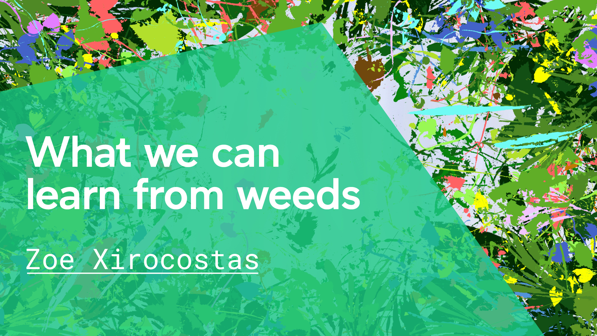 Weeds colourful design