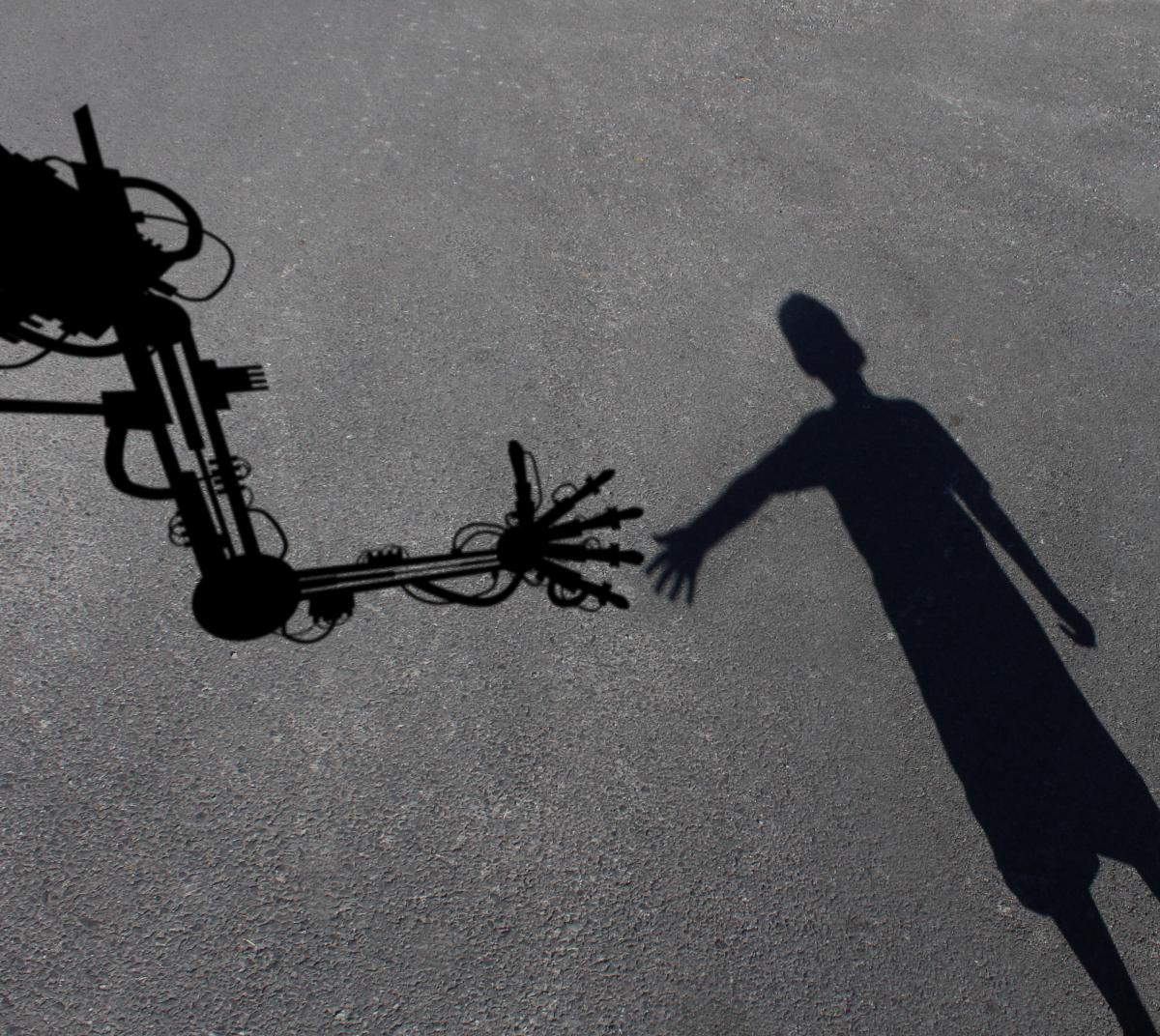 Robot and shadow image