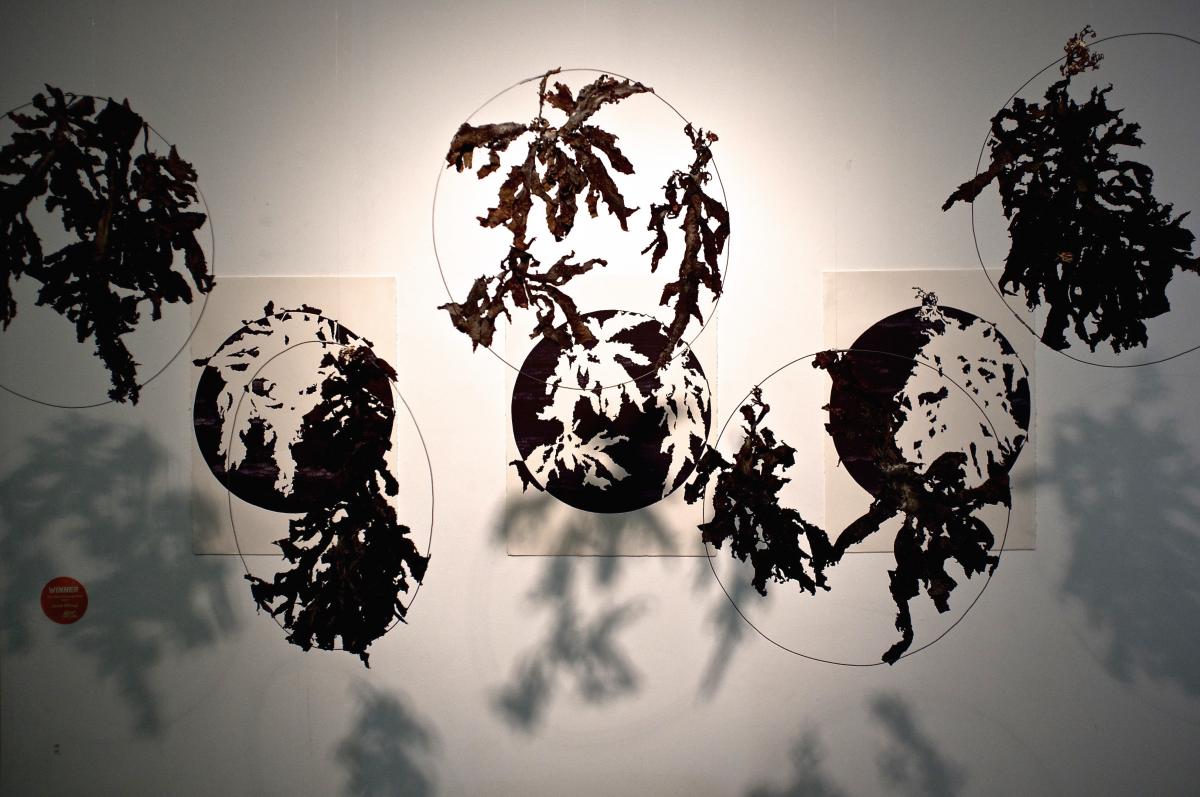Metamorphosis Art Work by Janet Mitsuji, black and white with shadows