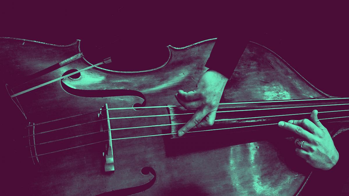 image of hands playing double bass