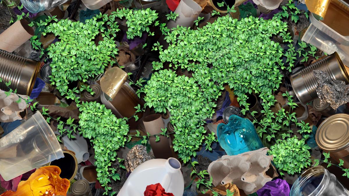 phot of rubbish and old food
