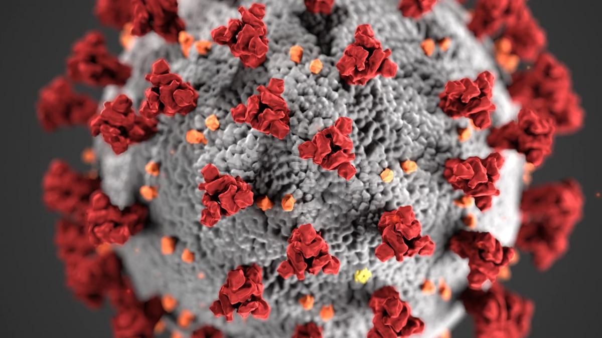 graphic image of a COVID cell