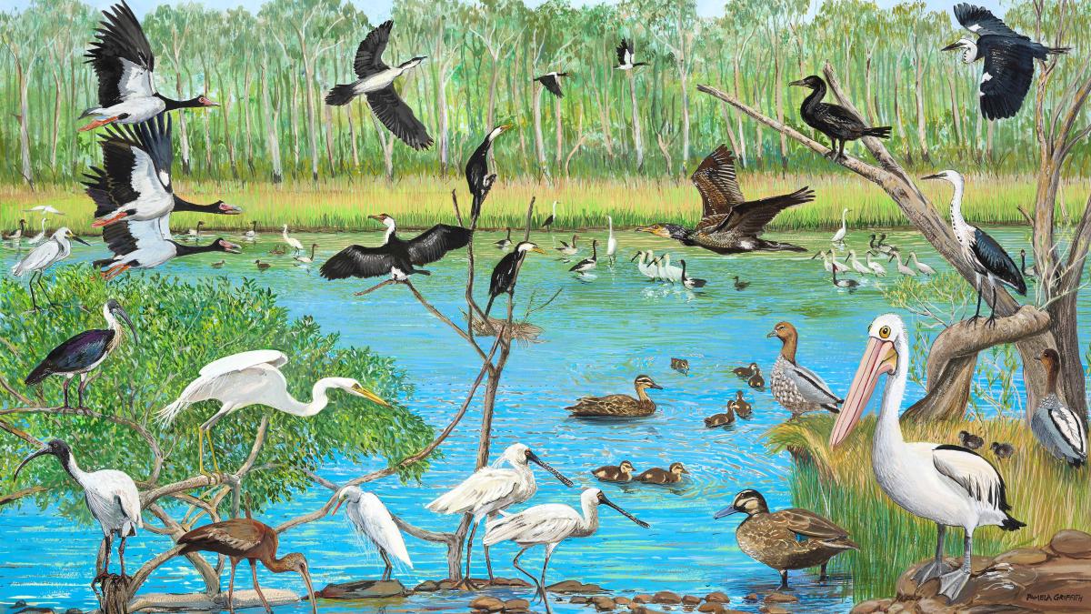 Teeming with life (Wetlands bird study) 2016 (detail) - painting of birds in a wetland