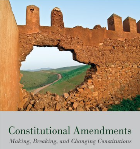constitutional amendments book cover