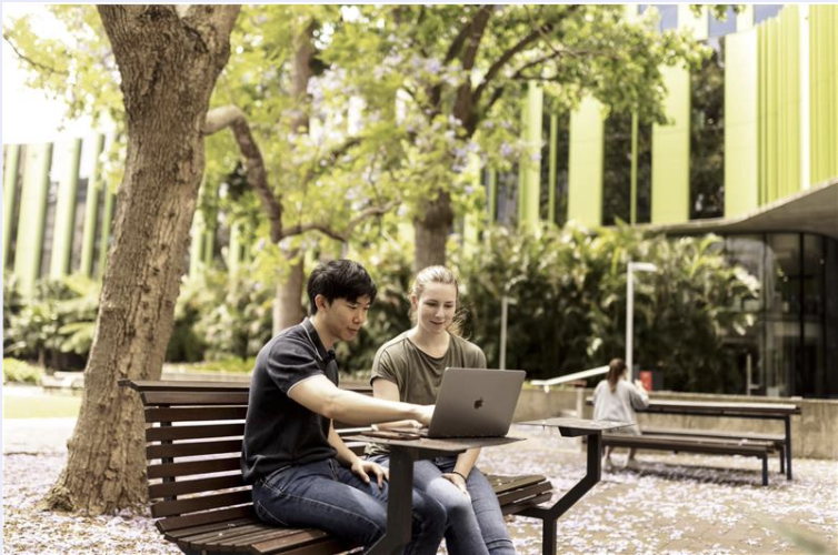 UNSW Students working on a project on university lawn