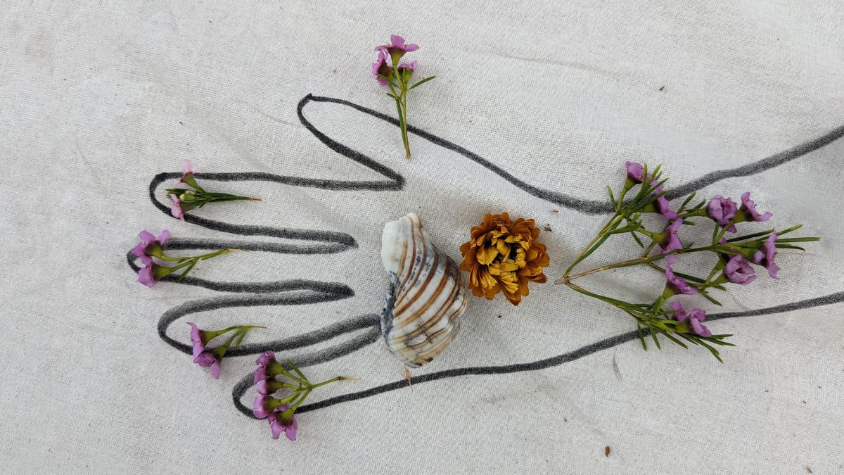 A drawn outline of a hand, with flowers and a sea shell placed on top
