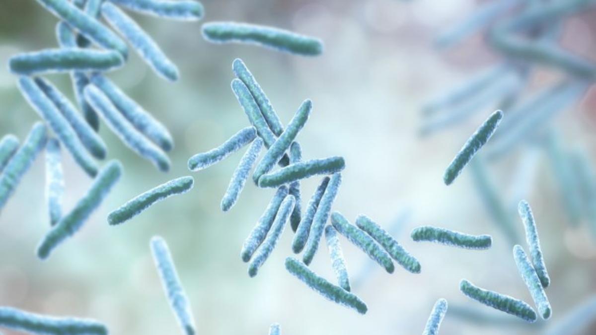 Drug and vaccine development for tuberculosis: insights into development and challenges
