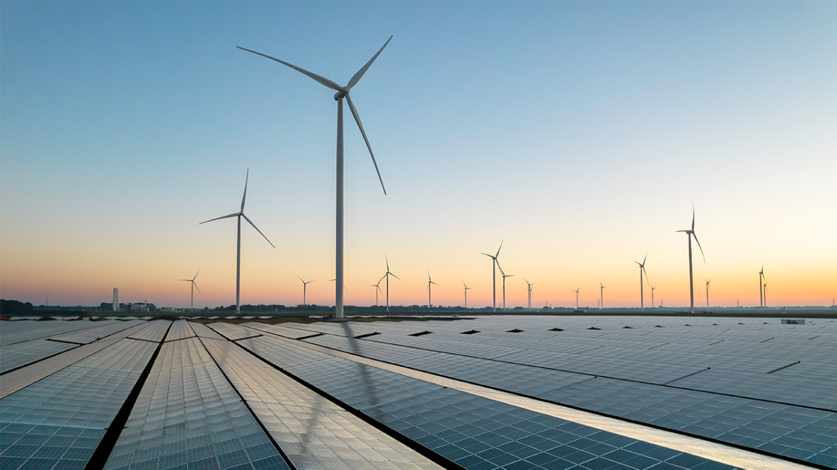 Solar energy field and wind turbines during a summer sunrise. Credit: Daniel Bosma.