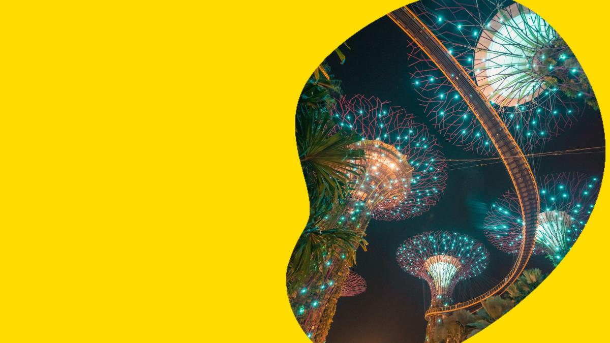 The Singapore Sky Garden is lit up in bright luminescent colours against the backdrop of a night sky. Tall, flower like structures reach high above and a winding walkway connects them in a futuristic scene.  