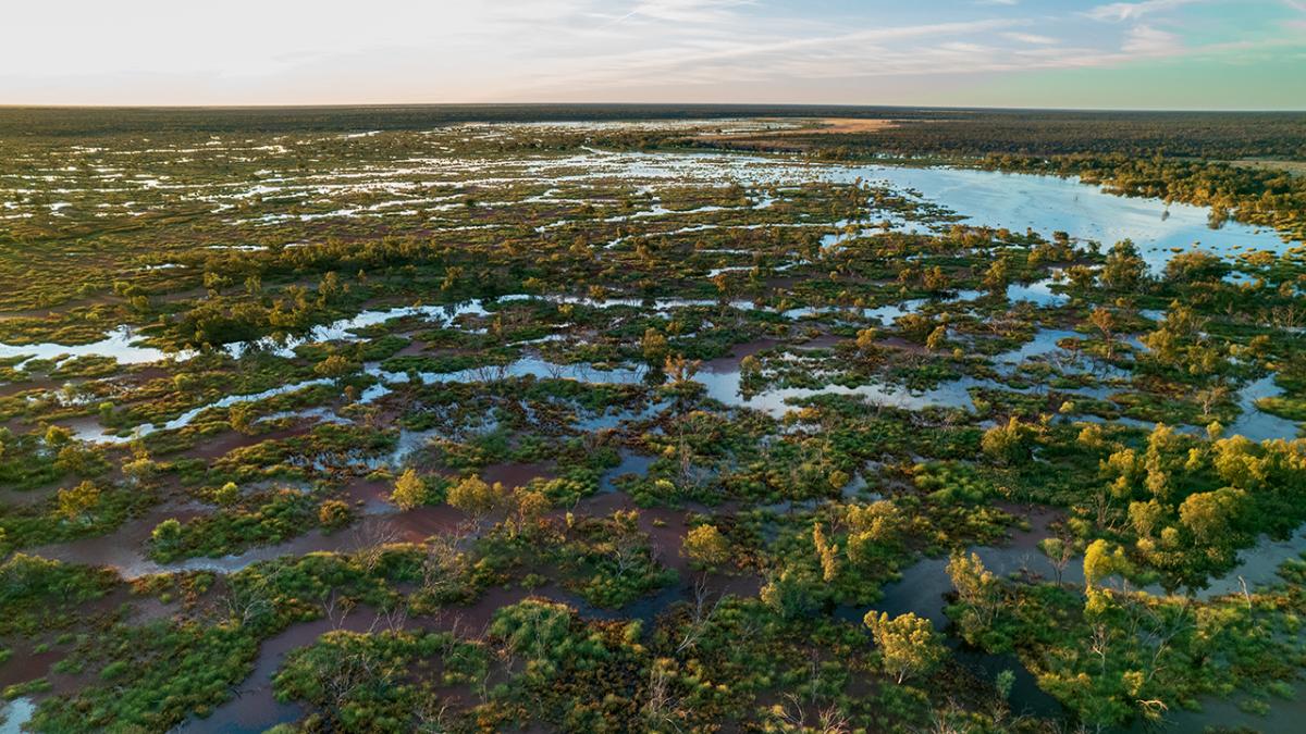 Drone photograph, Dhariwaa by James Henry.
