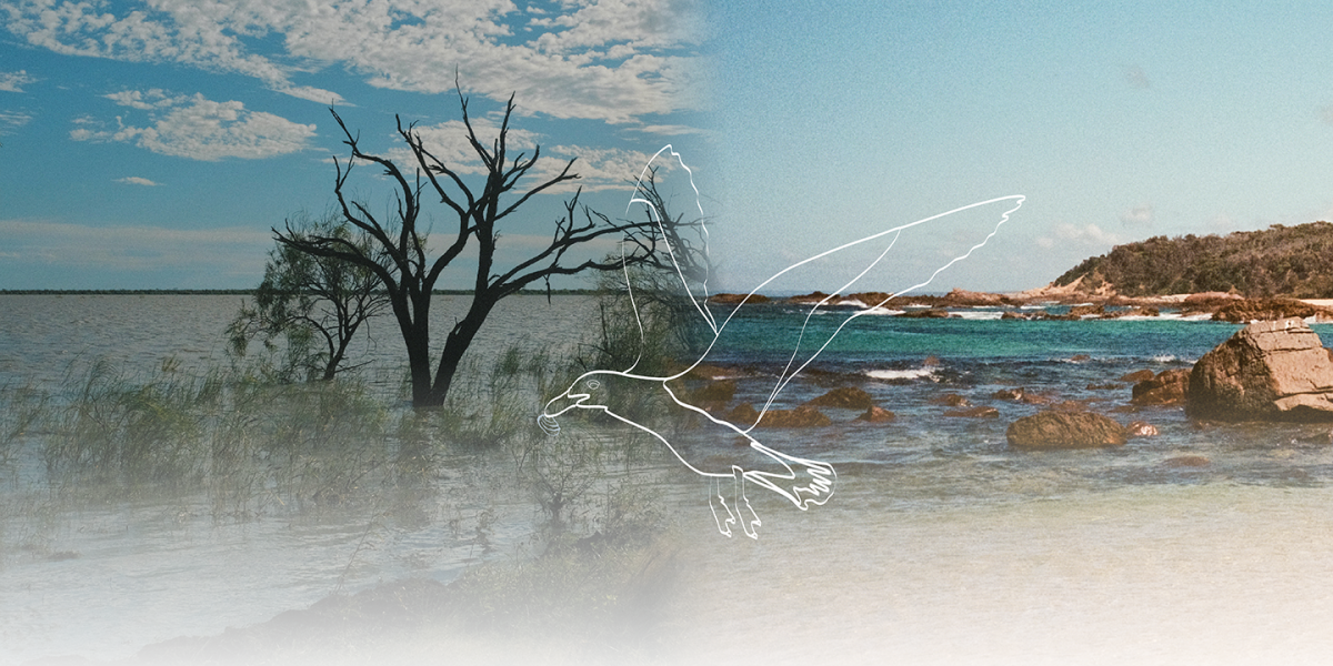 Freshwater and saltwater landscape photo.
