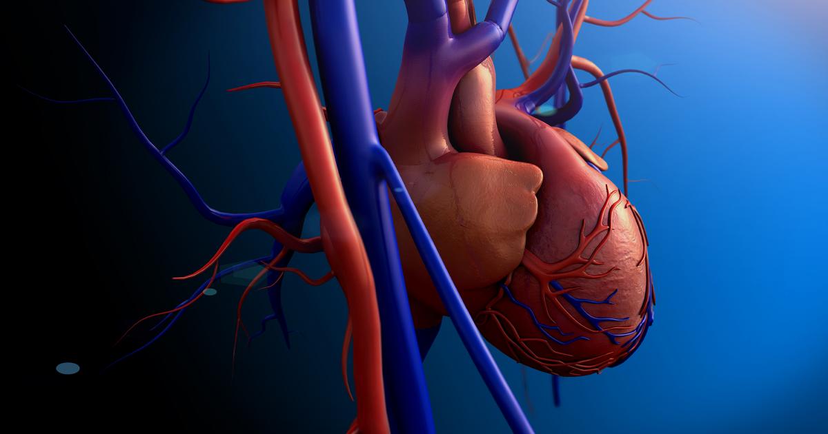 Look Inside My Heart: Medical Science, Health and Lifestyle | UNSW Sydney