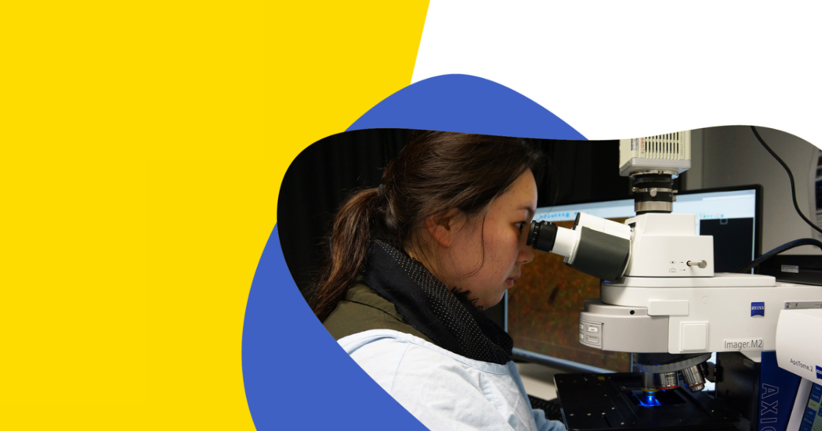 Biomedical Sciences and Health Sciences Research Information Evening ...